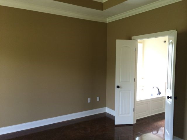 443 Greenfield Ridge Circle Brandon, MS 39042 - Photo 8 of 15 Master bedroom with tray ceiling.