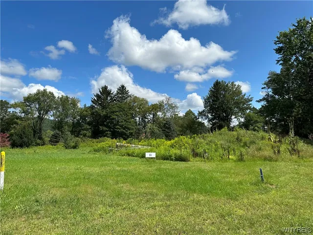 $75,000 | Lot 11 Tanglewood Development, Allegany, NY 14706