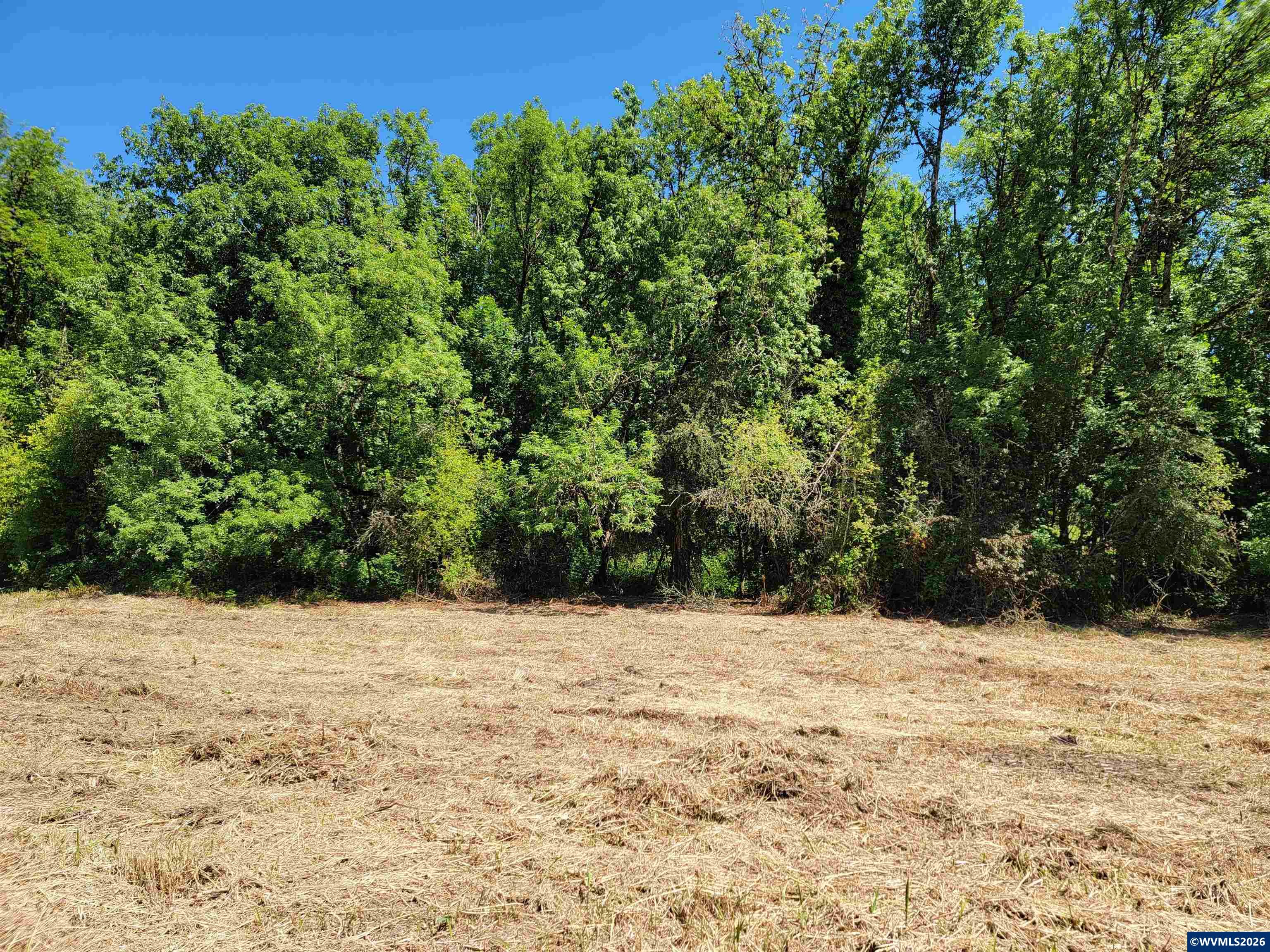 0 Oak Grove Albany, OR 97321 - Photo 7 of 30
