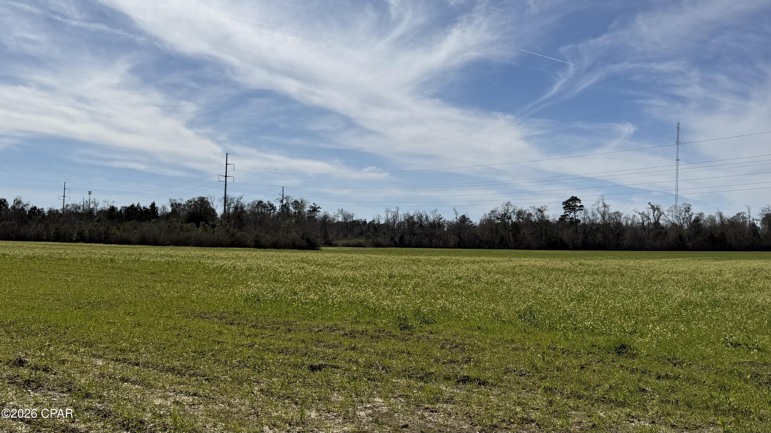 0 New Hope Road Marianna, FL 32448 - Photo 3 of 3
