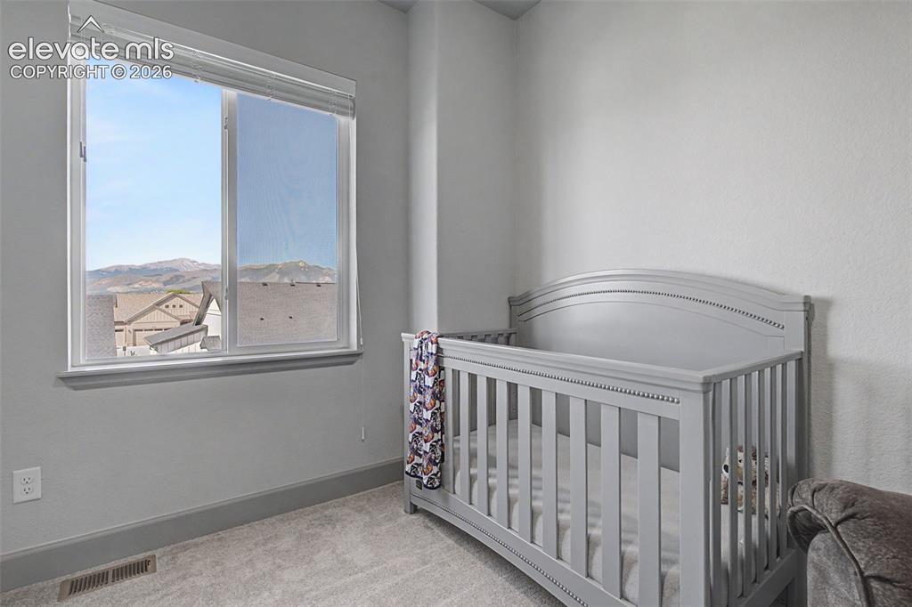 11634 Justify Drive Colorado Springs, CO 80921 - Photo 22 of 46
