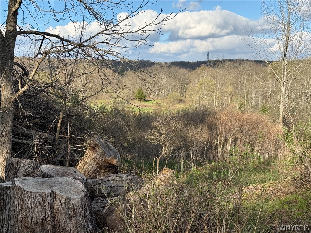 0 Hubbard Road East Aurora, NY 14052 - Photo 2 of 9