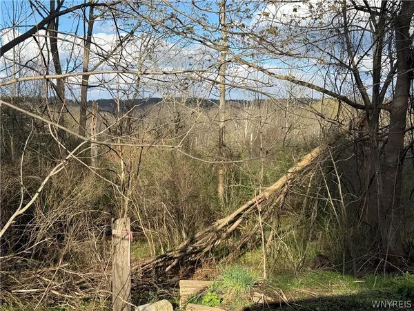 $150,000 | 0 Hubbard Road, East Aurora, NY 14052