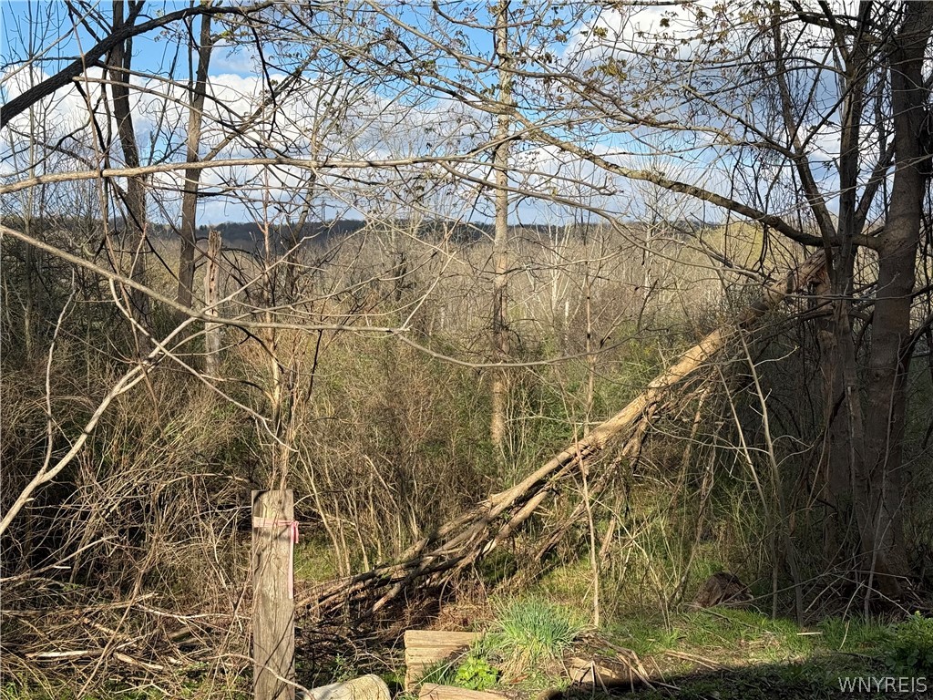 0 Hubbard Road East Aurora, NY 14052 - Photo 6 of 9