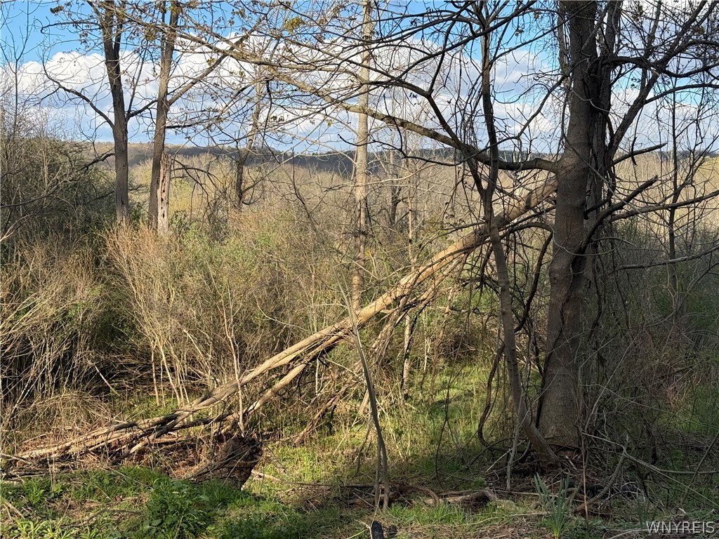 0 Hubbard Road East Aurora, NY 14052 - Photo 7 of 9