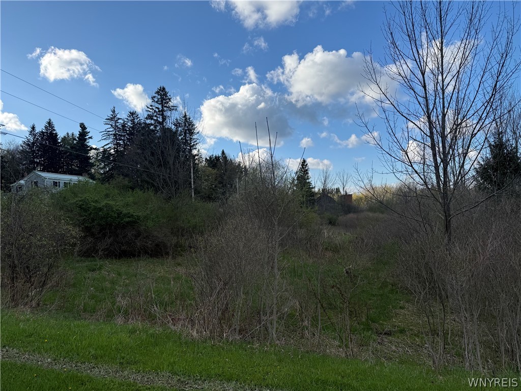 0 Hubbard Road East Aurora, NY 14052 - Photo 8 of 9