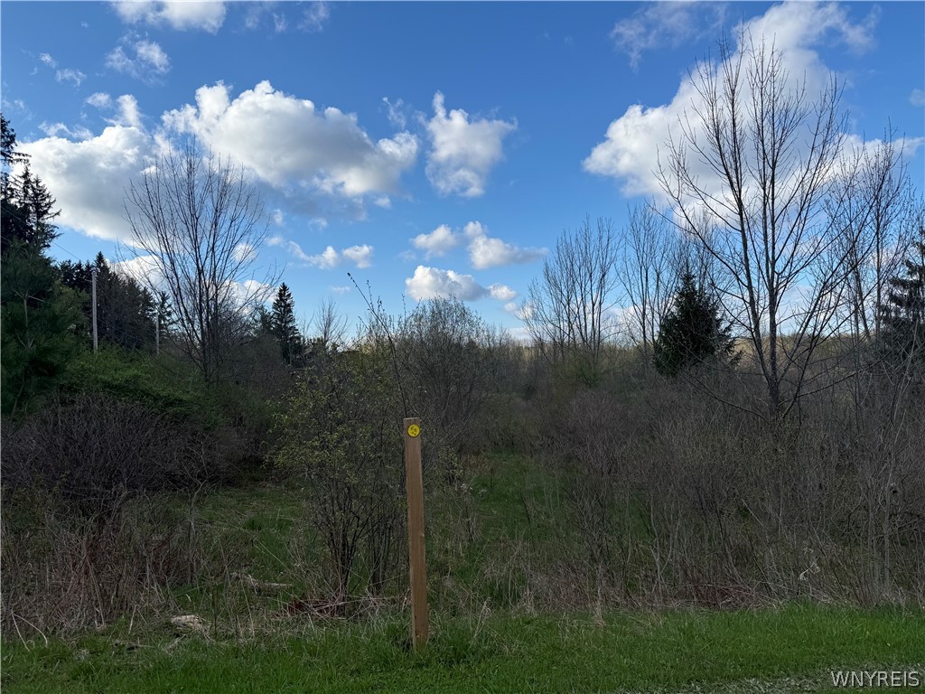 0 Hubbard Road East Aurora, NY 14052 - Photo 9 of 9