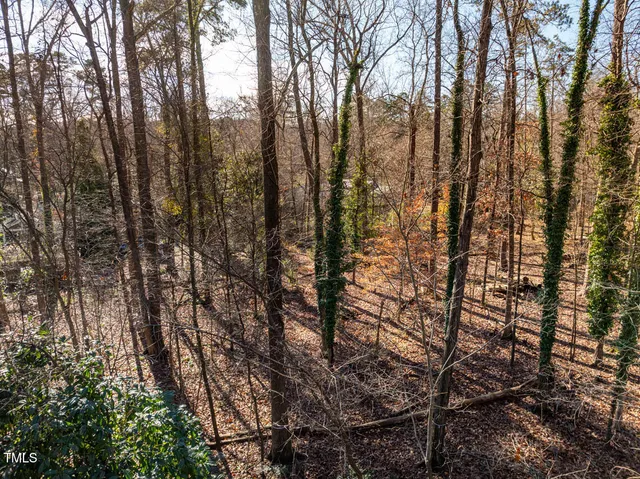 $384,998 | 0 Burlage Circle, Chapel Hill, NC 27514