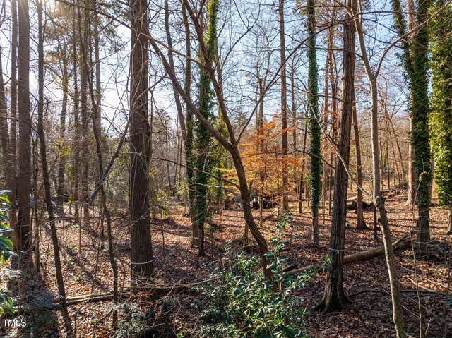 $384,998 | 0 Burlage Circle, Chapel Hill, NC 27514