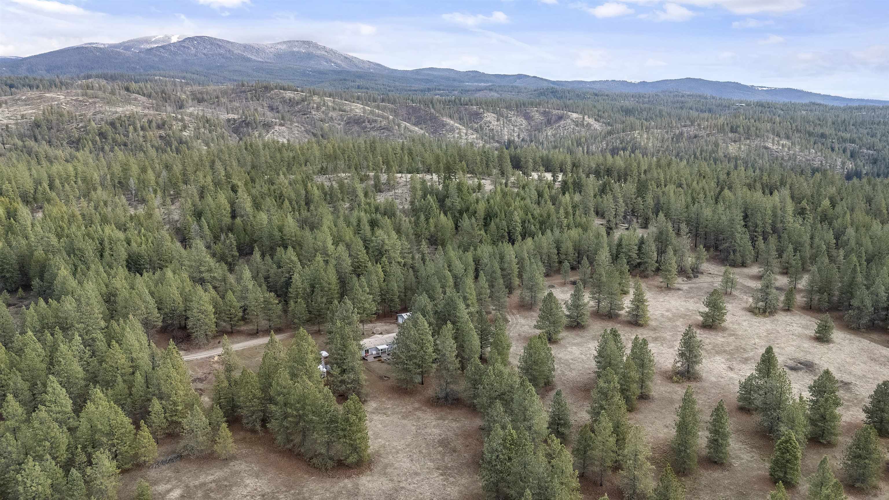 11824 East Laurel Road Elk, WA 99009 - Photo 8 of 46