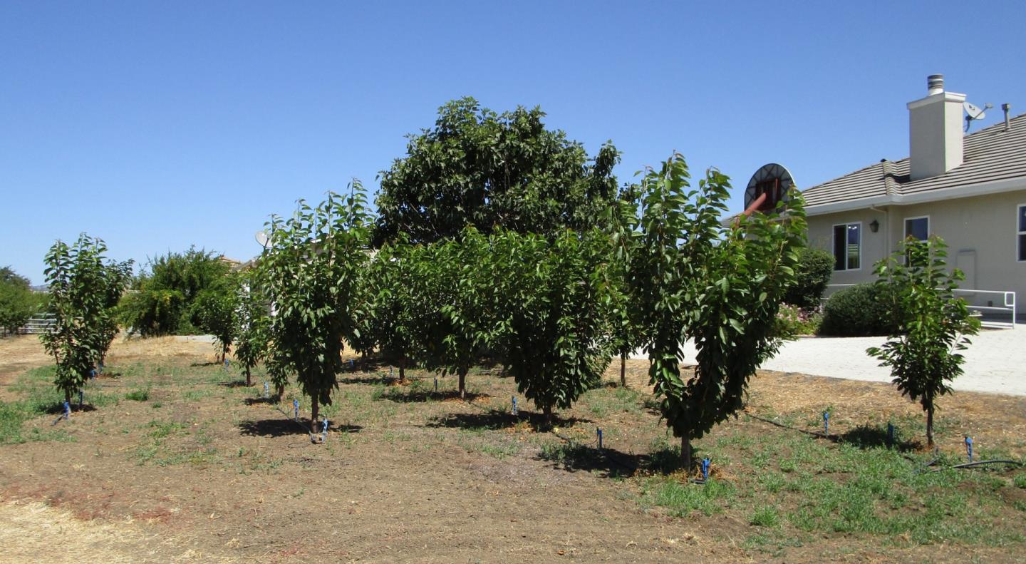 1320 Spring Grove Road Hollister, CA 95023 - Photo 42 of 51 a front view of a house with a yard