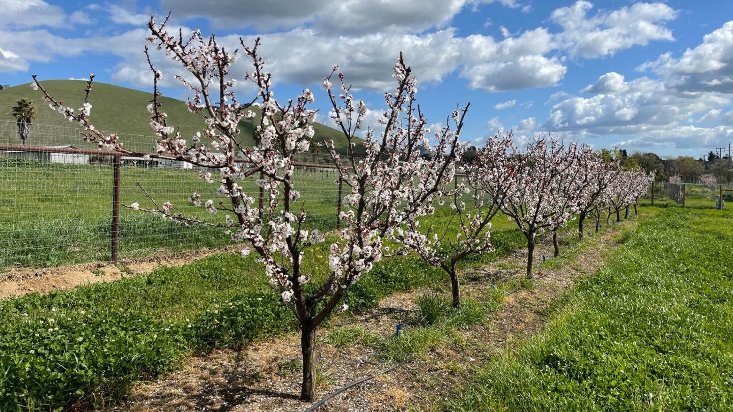 1320 Spring Grove Road Hollister, CA 95023 - Photo 43 of 51