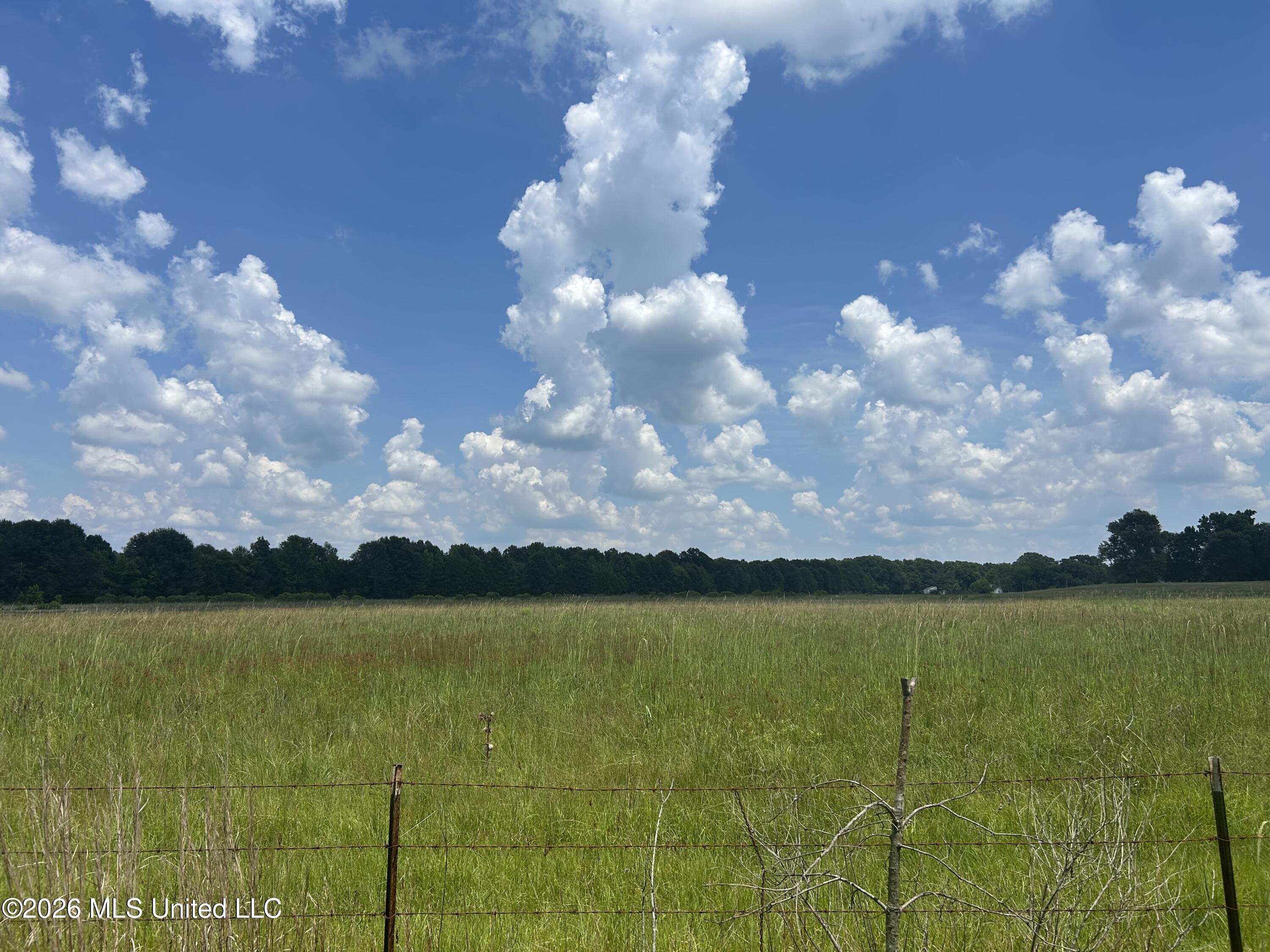 Cane Creek Road Flora, MS 39071 - Photo 2 of 2 canecreekpic2