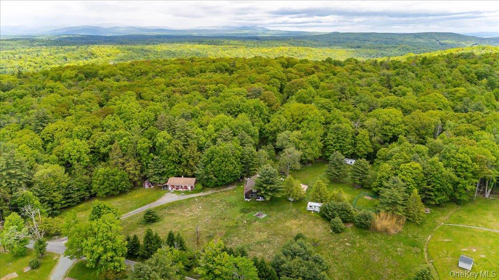 101 Red Star Road Greenfield Park, NY 12435 - Photo 49 of 50