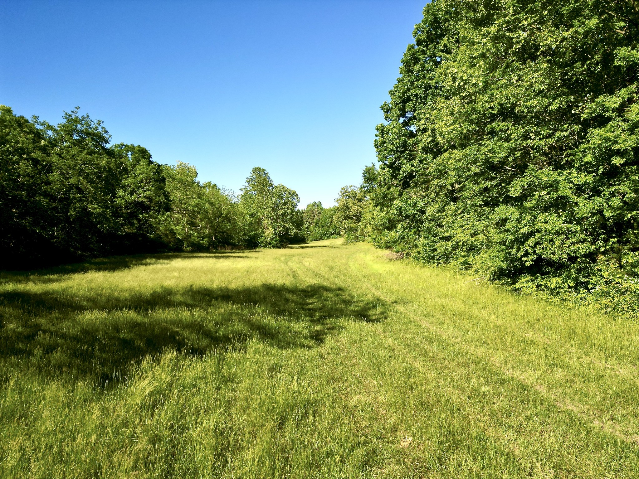 1920 Old Gallatin Road Portland, TN 37148 - Photo 20 of 50 Gallery Image 20