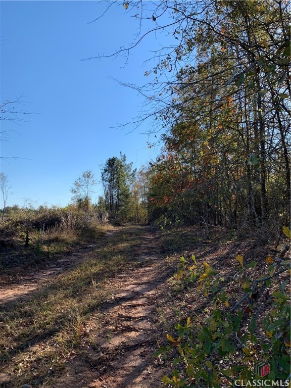 0 Center Church Road Stephens, GA 30667 - Photo 25 of 26