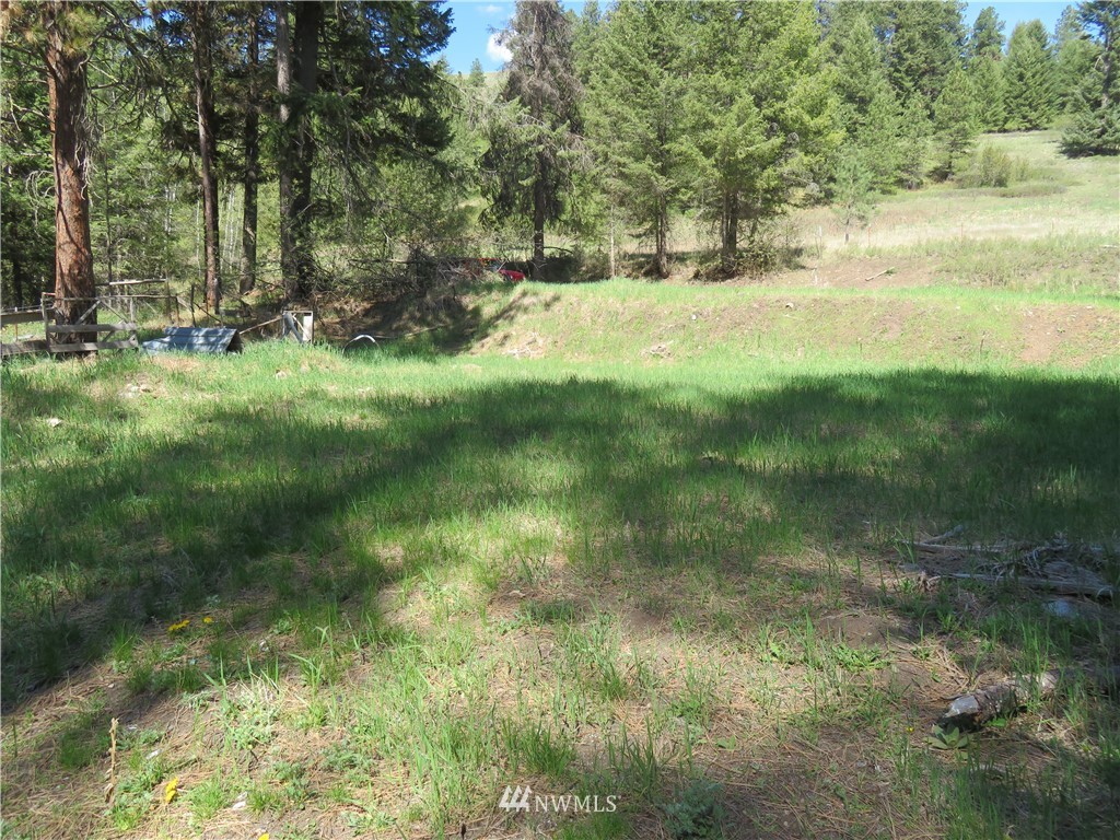 -tbd Barrett Creek Road Republic, WA 99166 - Photo 3 of 8