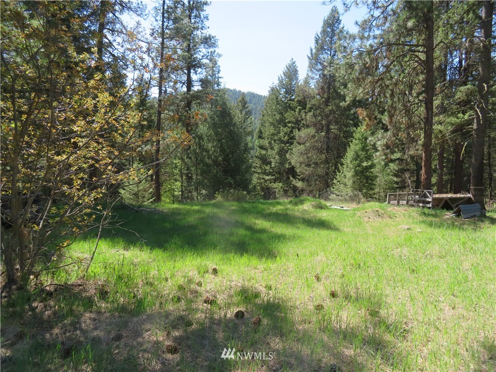 -tbd Barrett Creek Road Republic, WA 99166 - Photo 4 of 8