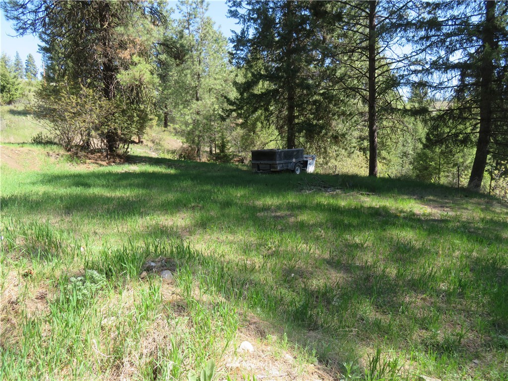 -tbd Barrett Creek Road Republic, WA 99166 - Photo 5 of 8