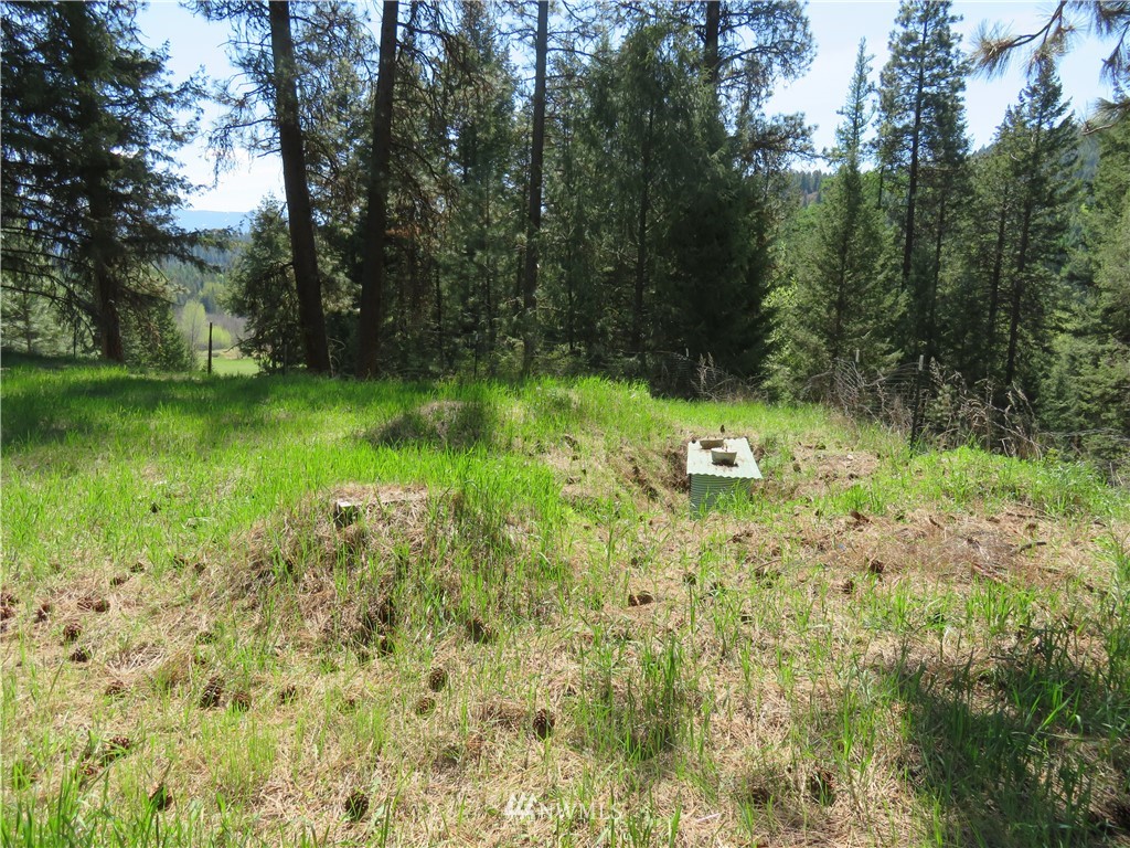 -tbd Barrett Creek Road Republic, WA 99166 - Photo 6 of 8