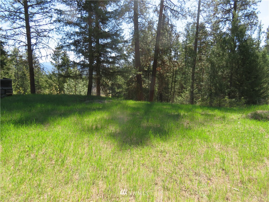 -tbd Barrett Creek Road Republic, WA 99166 - Photo 7 of 8