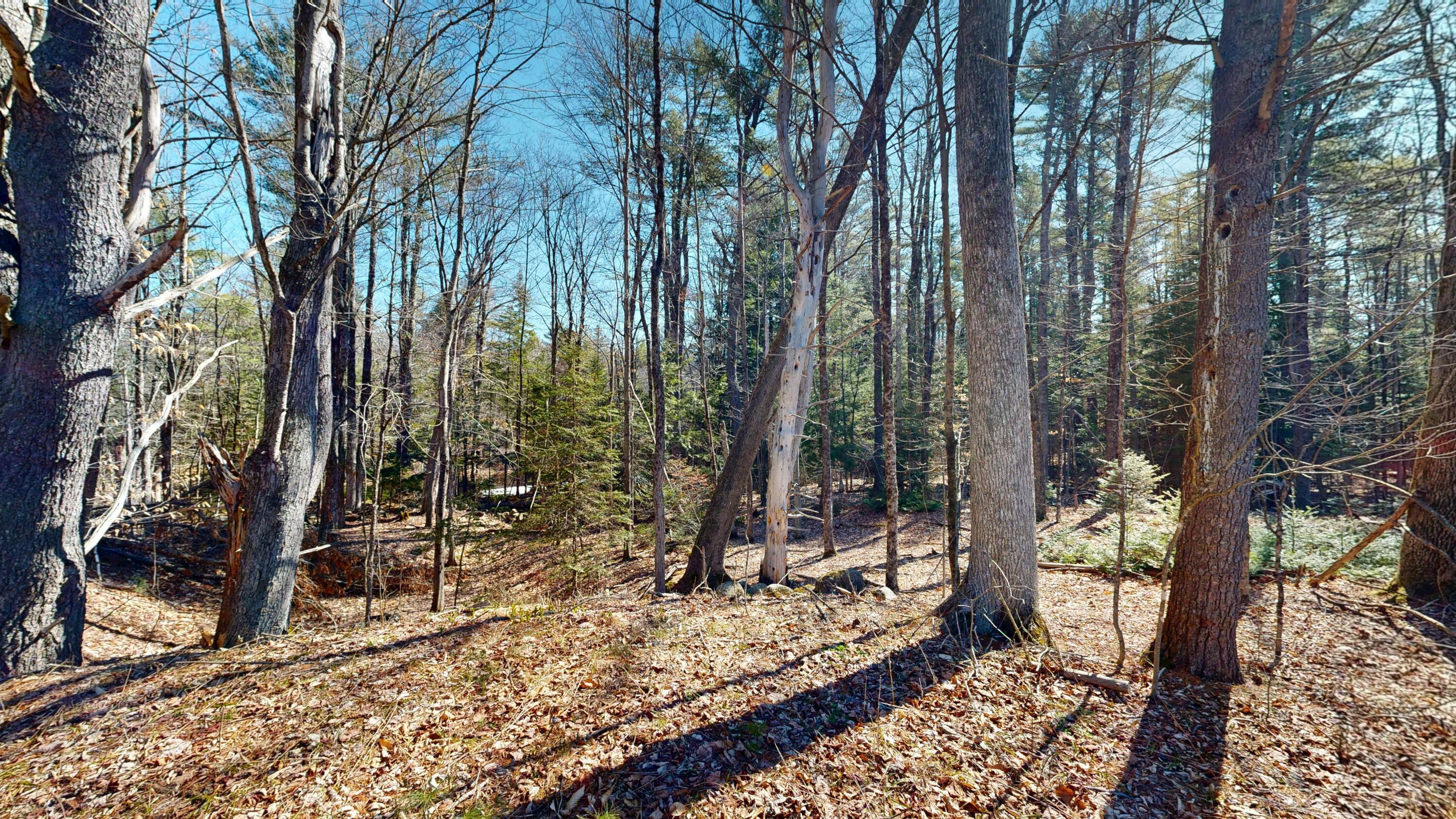 1890 Pownal Road Auburn, ME 04210 - Photo 3 of 12 1890-Pownal-Road-04102026_100834