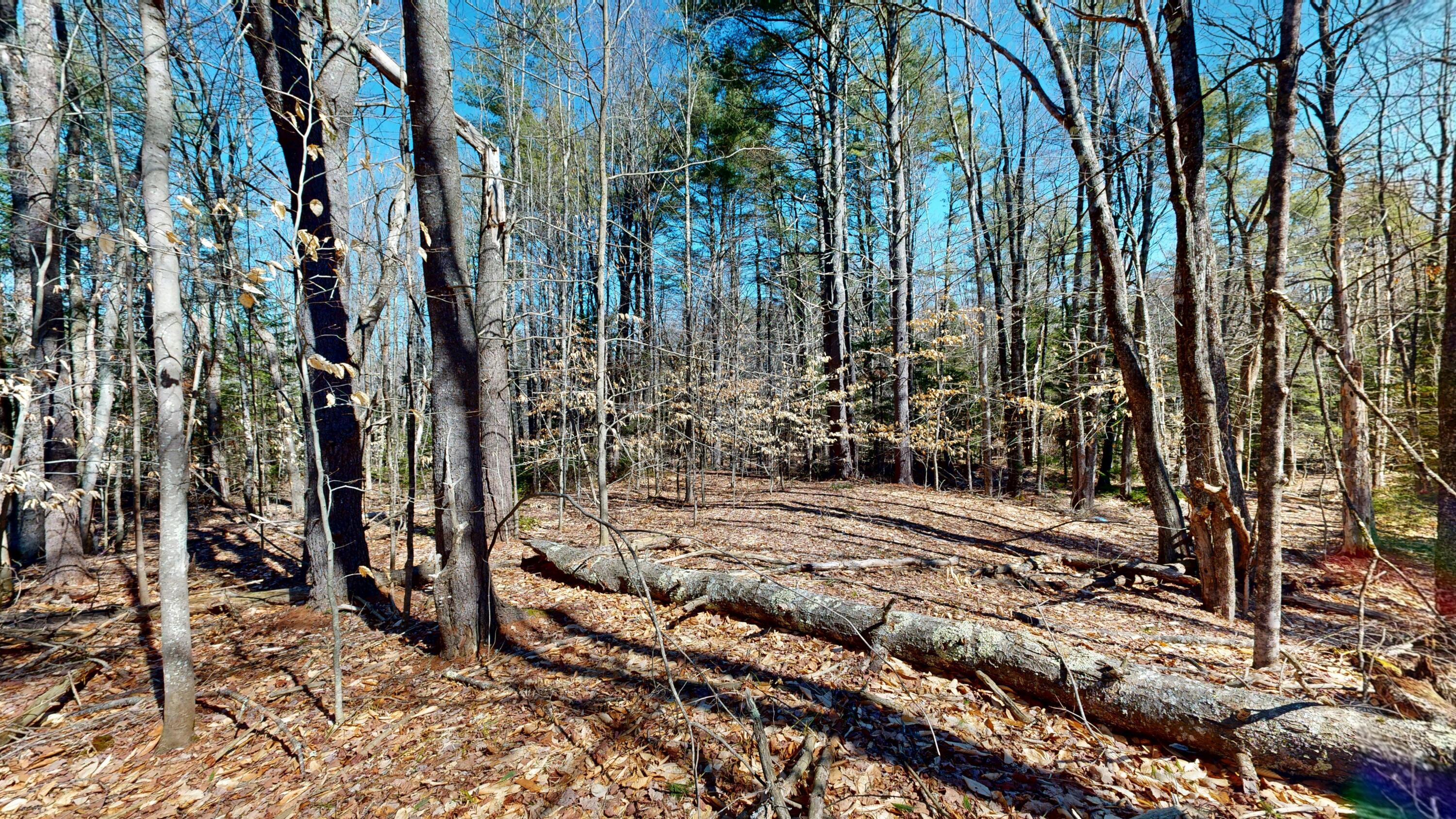 1890 Pownal Road Auburn, ME 04210 - Photo 7 of 12 1890-Pownal-Road-04102026_100854