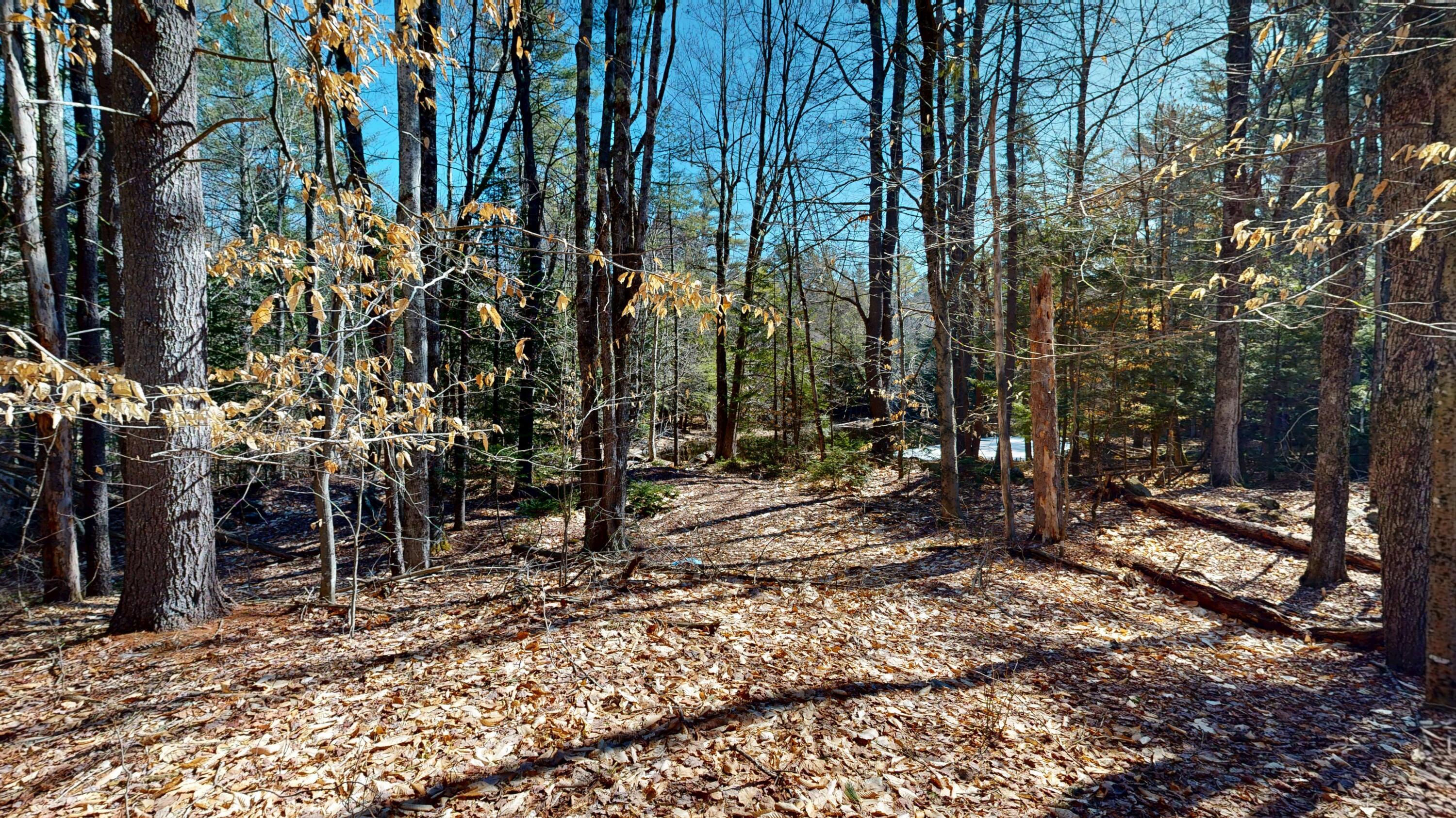 1890 Pownal Road Auburn, ME 04210 - Photo 8 of 12 1890-Pownal-Road-04102026_100921