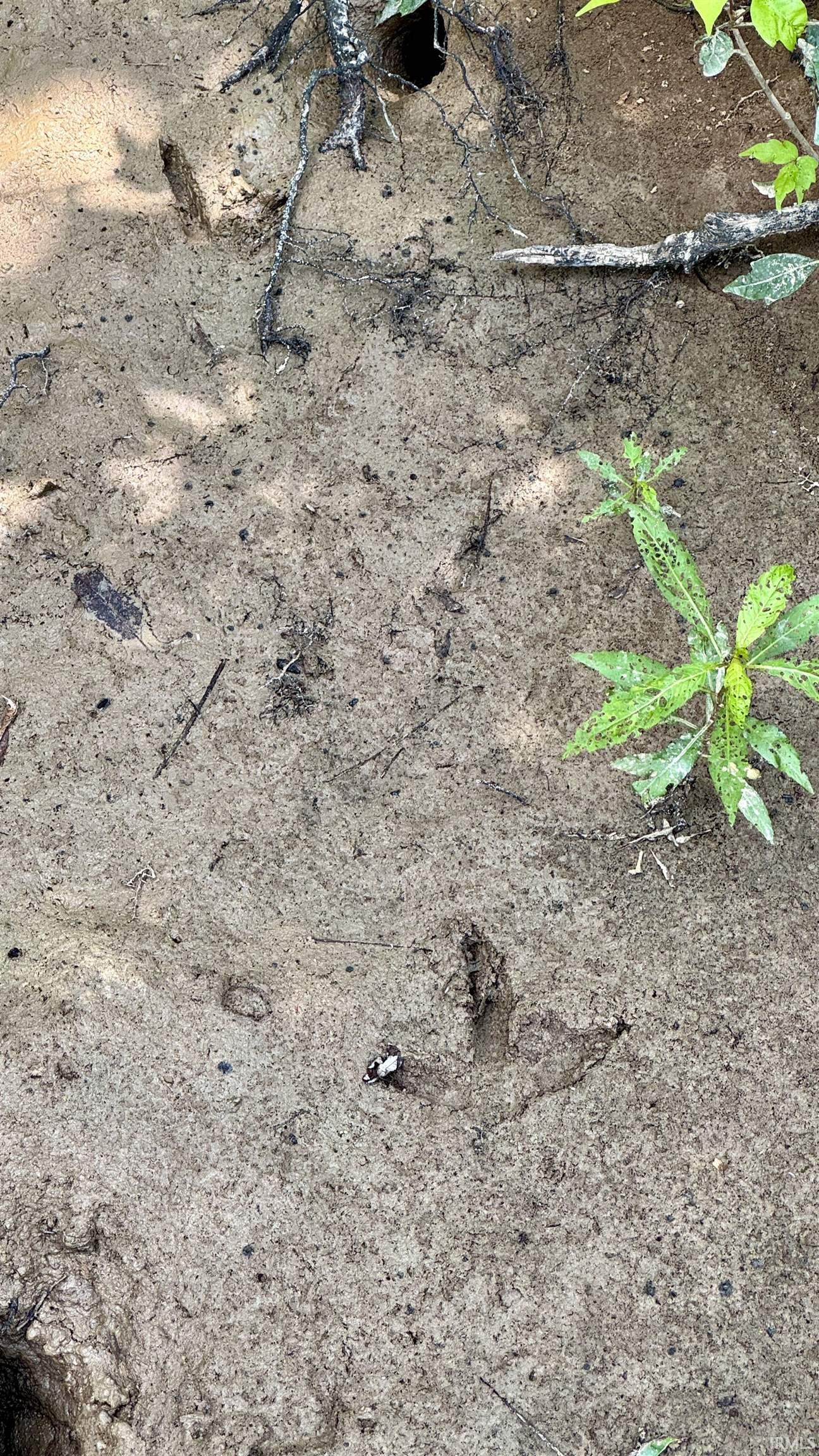 66 Newburgh In 47630 Newburgh, IN 47630 - Photo 15 of 27