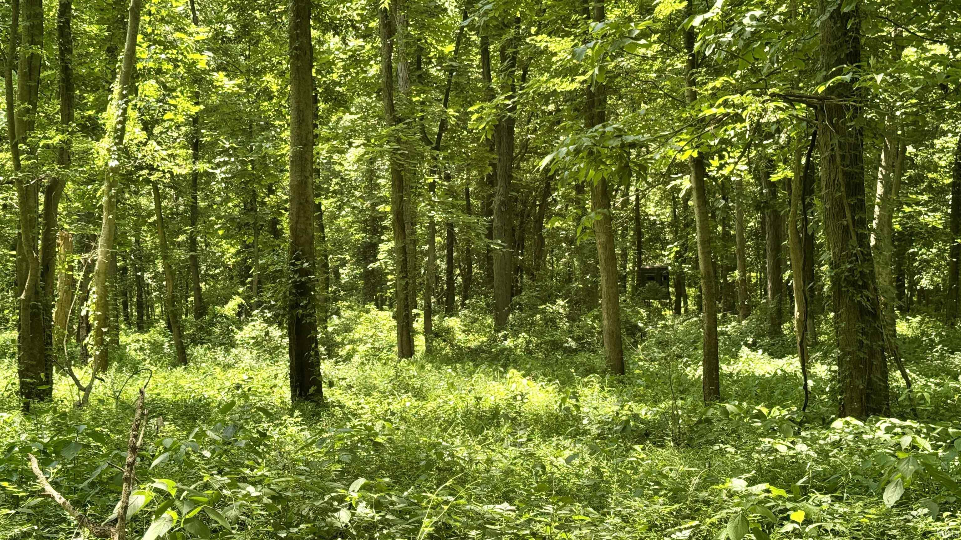 66 Newburgh In 47630 Newburgh, IN 47630 - Photo 25 of 27