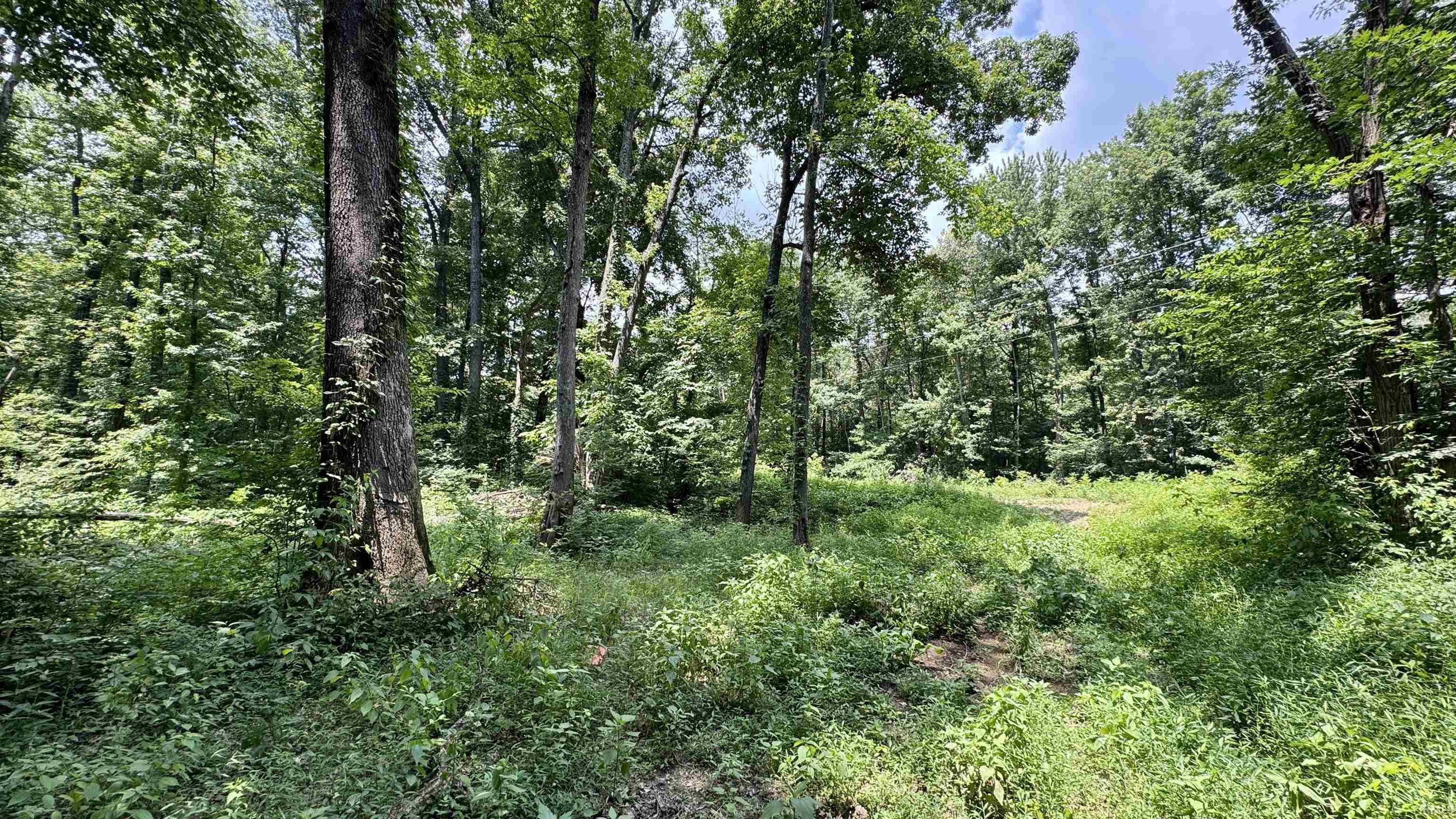 66 Newburgh In 47630 Newburgh, IN 47630 - Photo 7 of 27