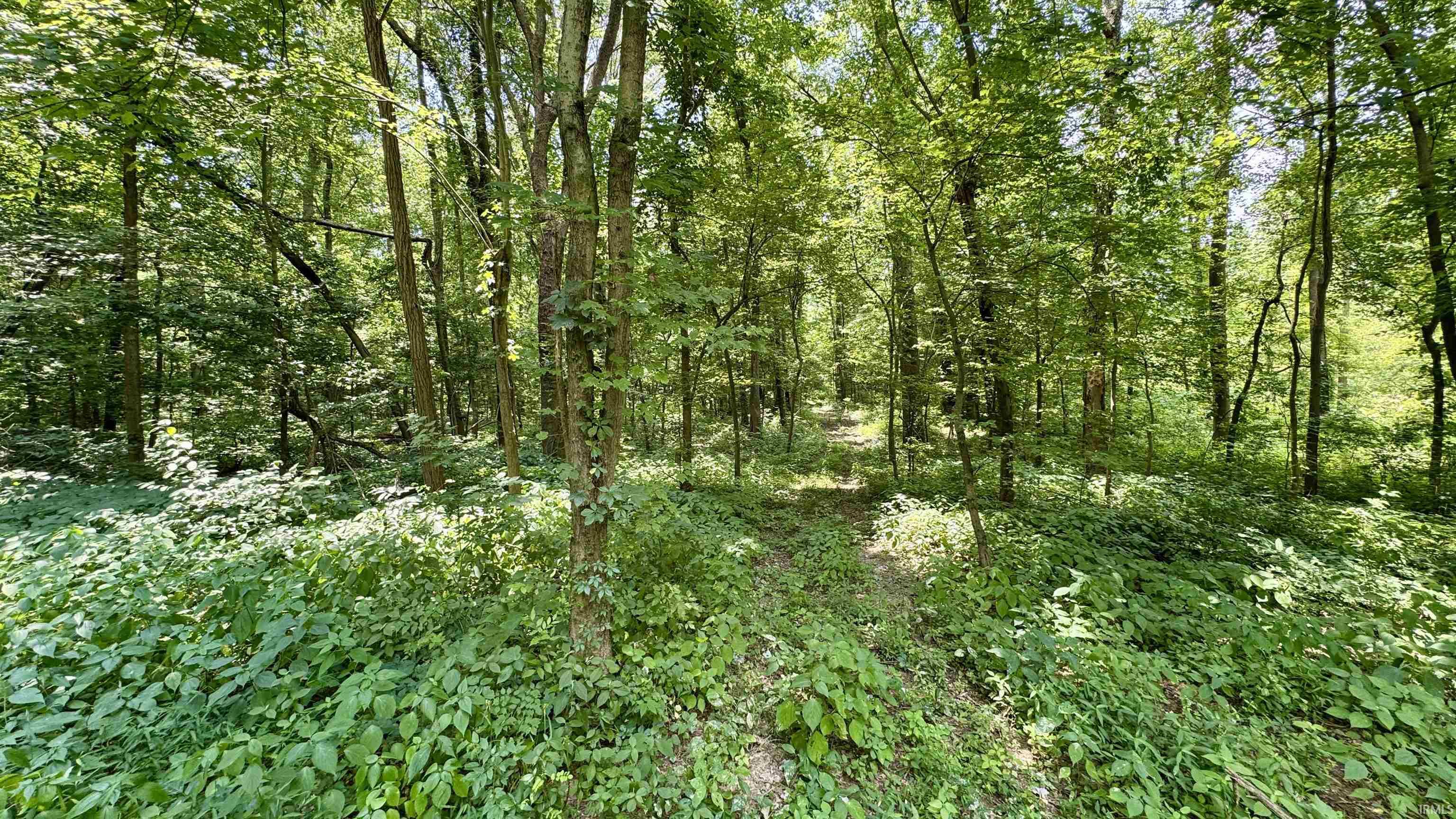 66 Newburgh In 47630 Newburgh, IN 47630 - Photo 8 of 27