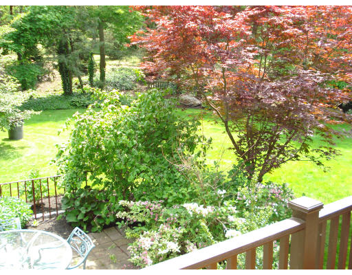 40 Avondale Road Newton, MA 02459 - Photo 5 of 17 a backyard of a house with lots of green space and garden