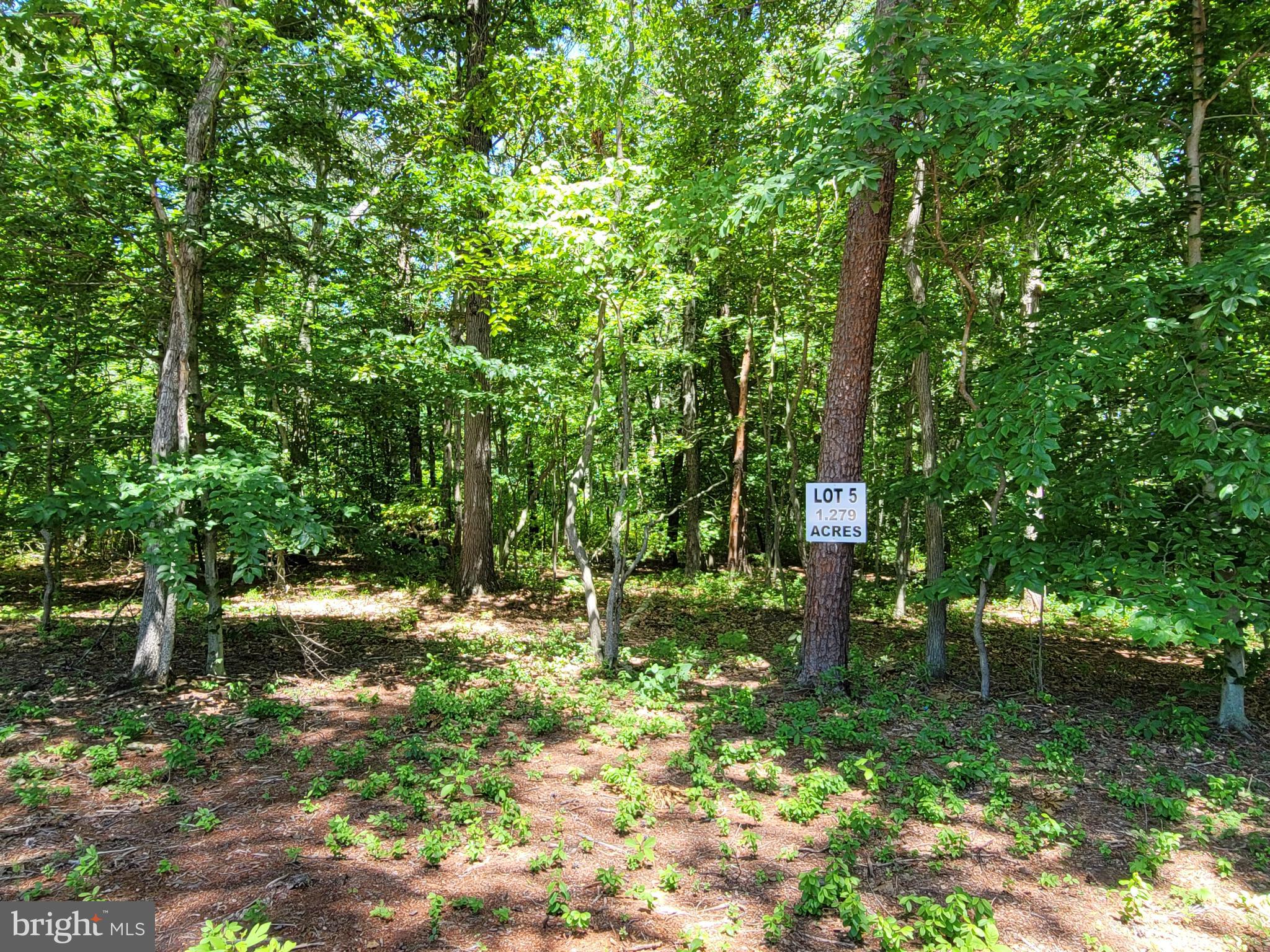 Beautiful wooded lot off shared private driveway