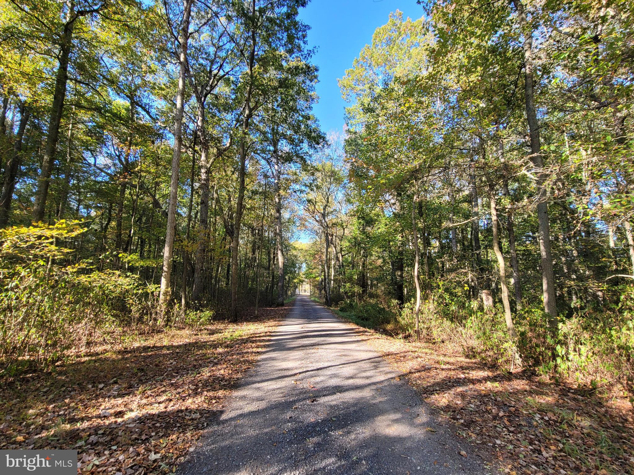 Burrisville Road Centreville, MD 21617 - Photo 3 of 7 You will love the long private shared driveway.