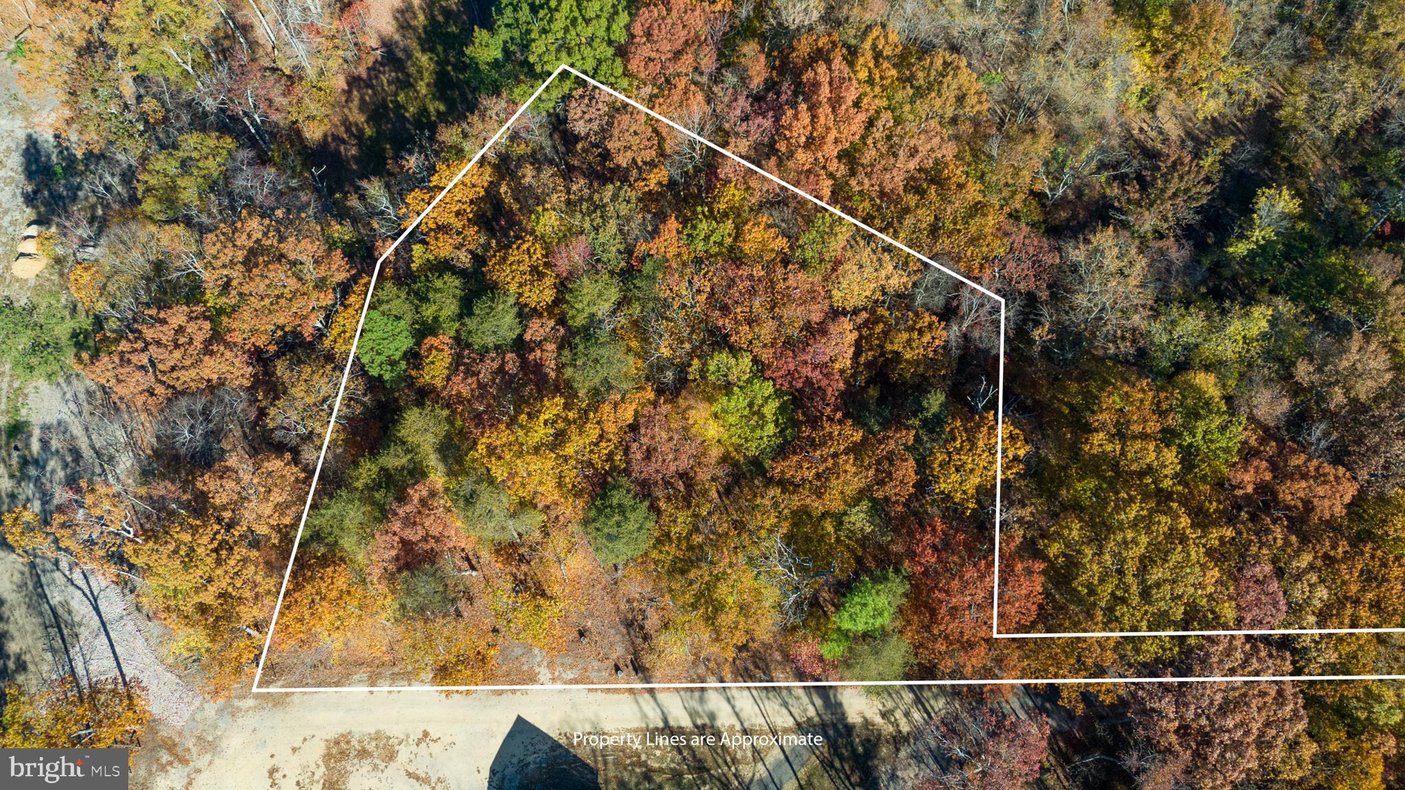 Burrisville Road Centreville, MD 21617 - Photo 6 of 7