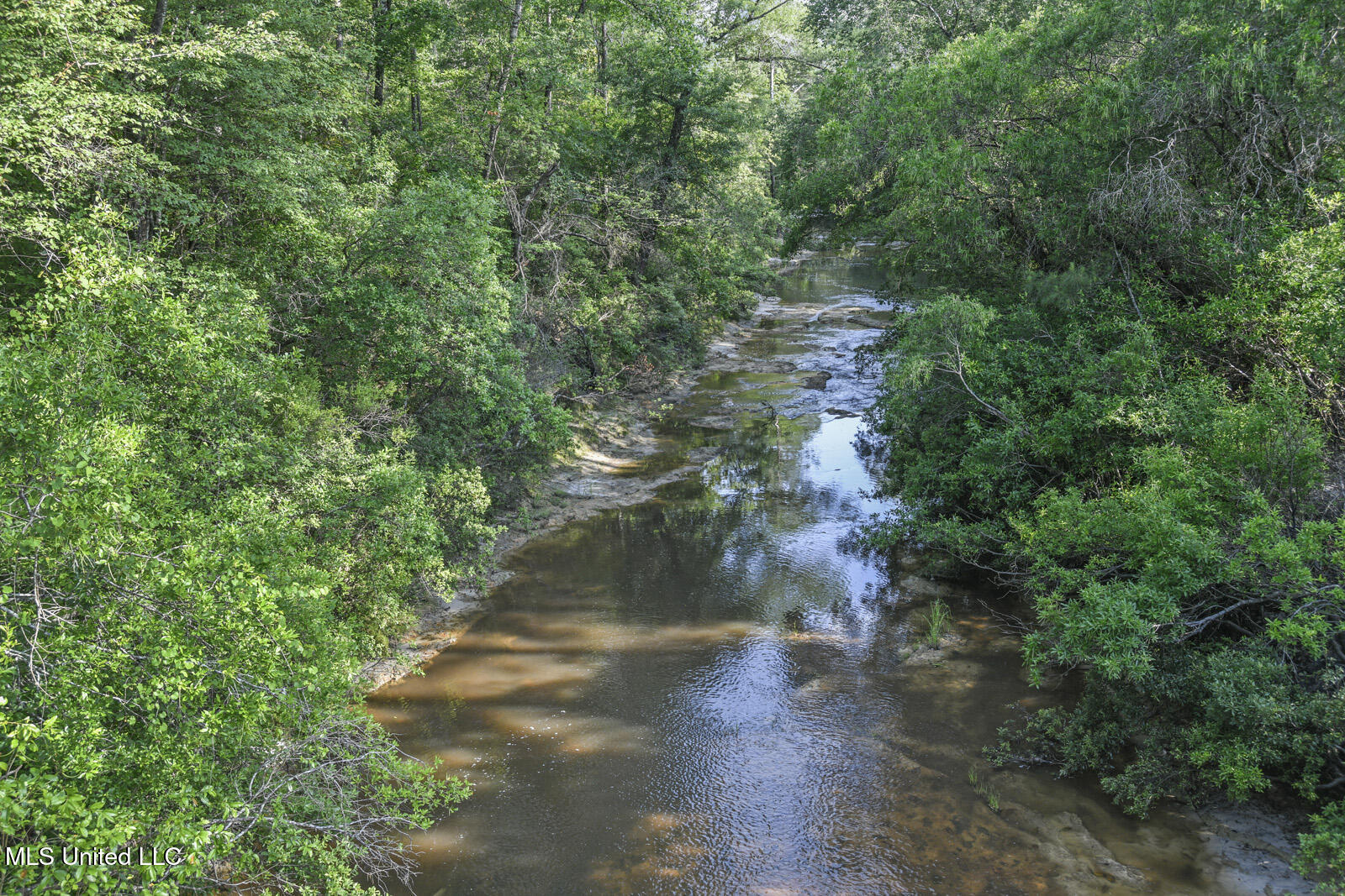 Nhn Ramsey Road Saucier, MS 39574 - Photo 4 of 8 13