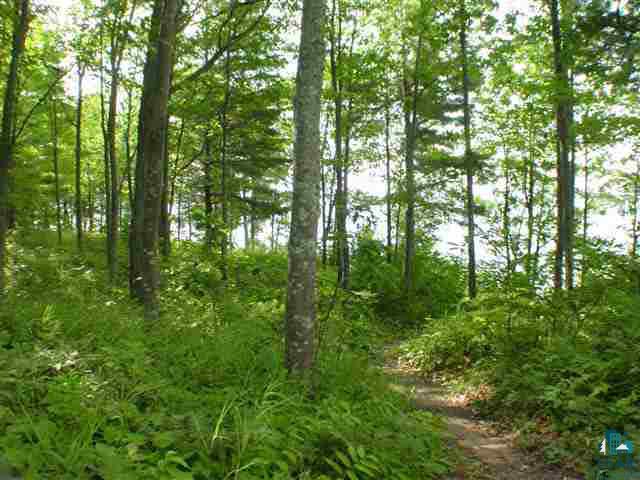 34825 Chequamegon Road Bayfield, WI 54814 - Photo 4 of 9 Gallery Image 4