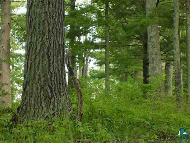 34825 Chequamegon Road Bayfield, WI 54814 - Photo 6 of 9 Gallery Image 6