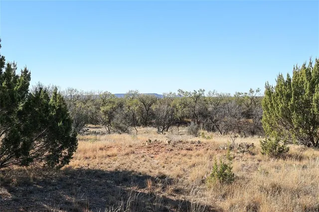 a view of city and mountain