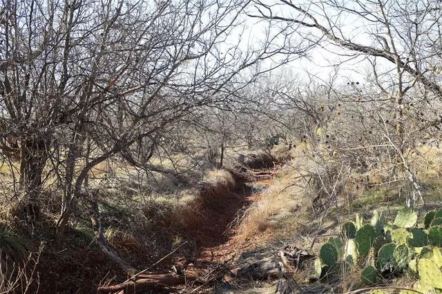 a view of a snow on a field