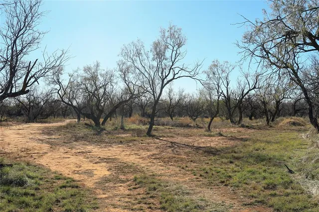 a backyard of a house with trees