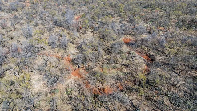 a view of a dry yard