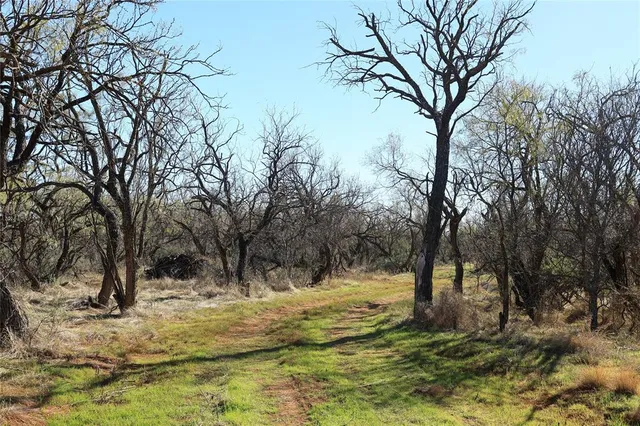 a view of yard covered with snow in outdoor