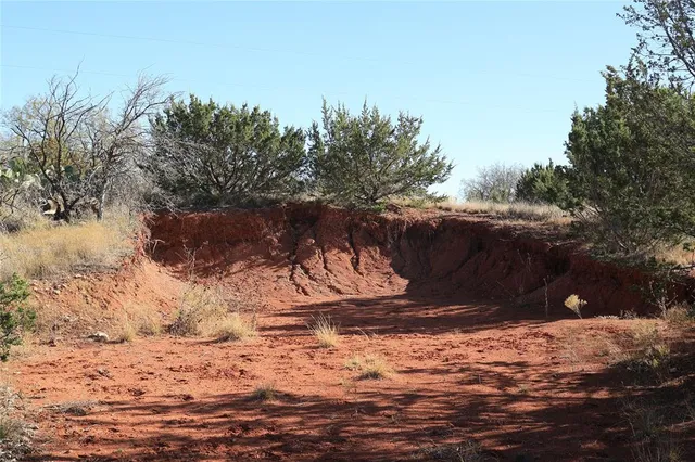 a view of a backyard of the house