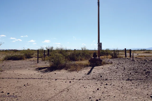 a view of a dry yard with trees