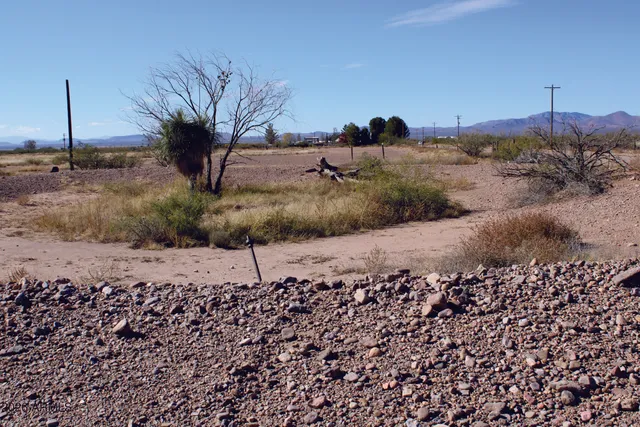 a view of a dry yard with wooden fence