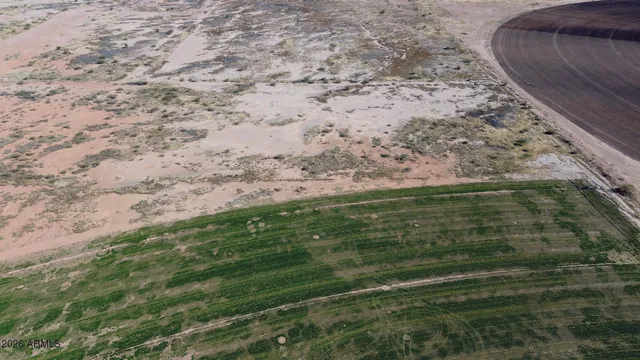 a view of a yard with an outdoor space