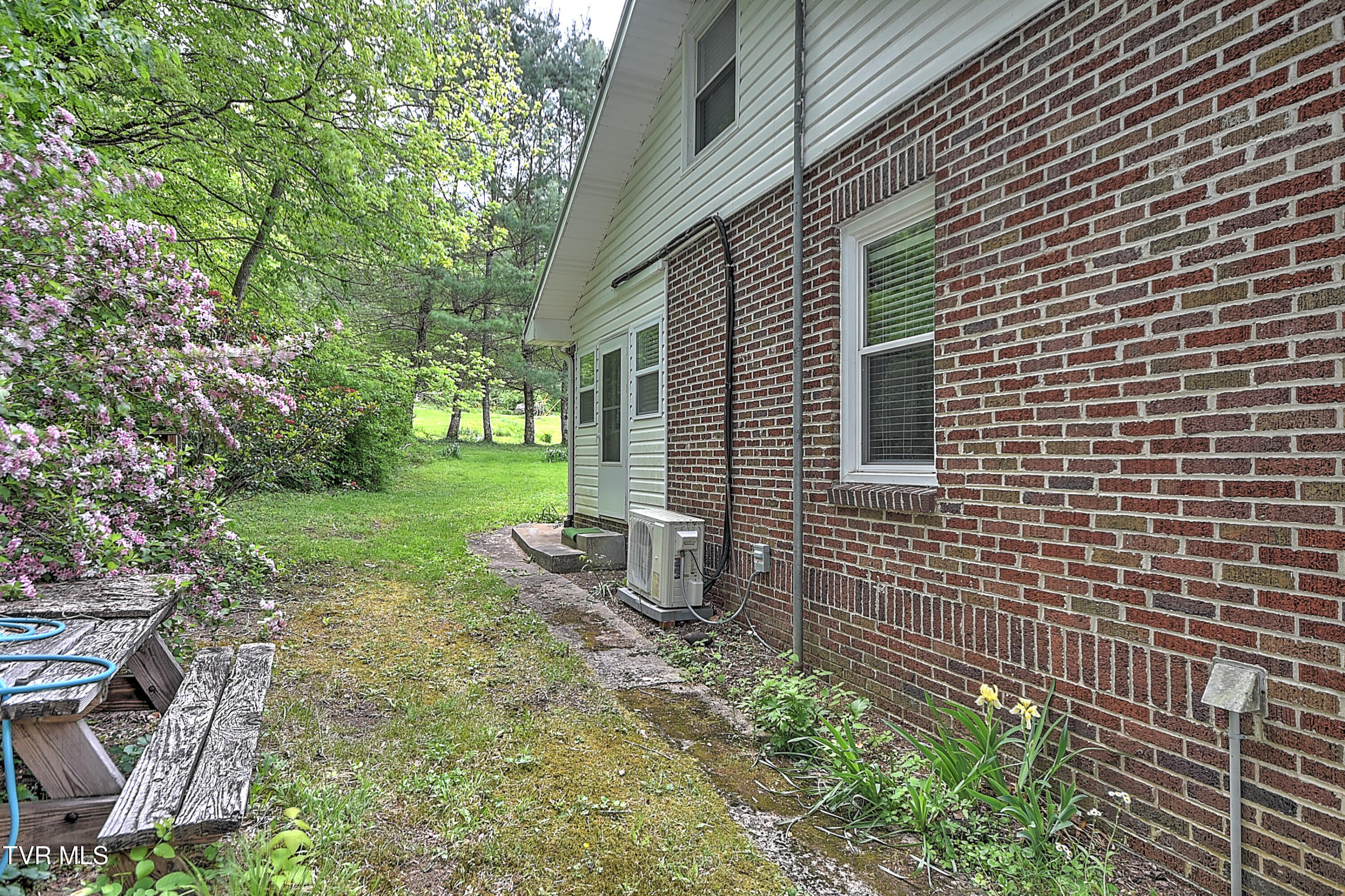 275 Tiger Creek Road Roan Mountain, TN 37687 - Photo 45 of 104 275 Tiger Creek EH-40