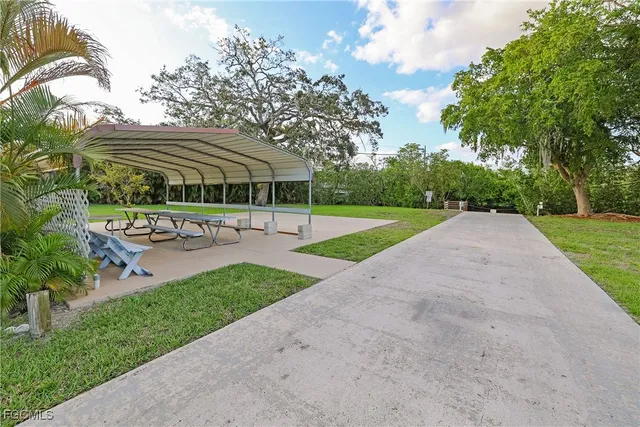 a view of a park with plants and trees